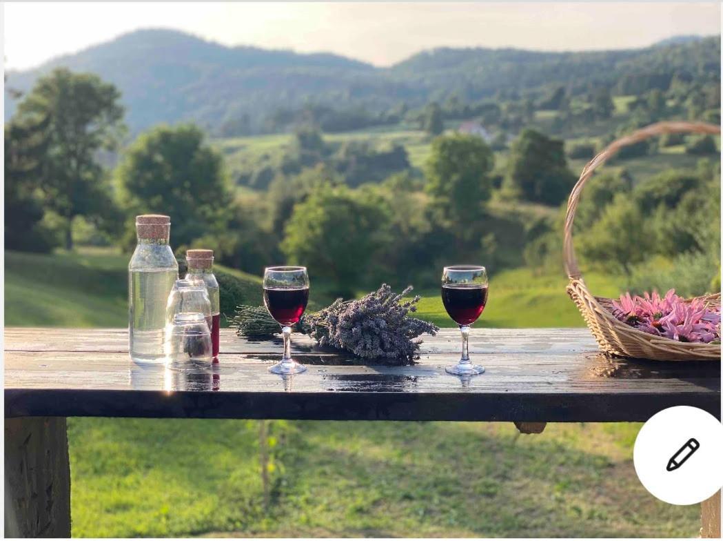 Lovely Apartment In Nature With Sauna! ポストイナ エクステリア 写真